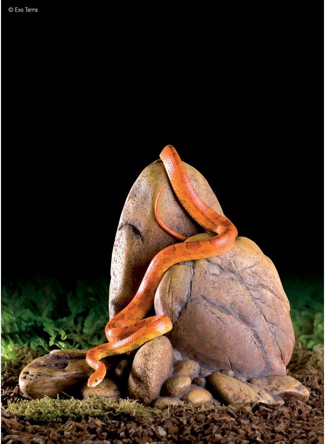 Exo Terra Rock Outcrops - Small - Image 3