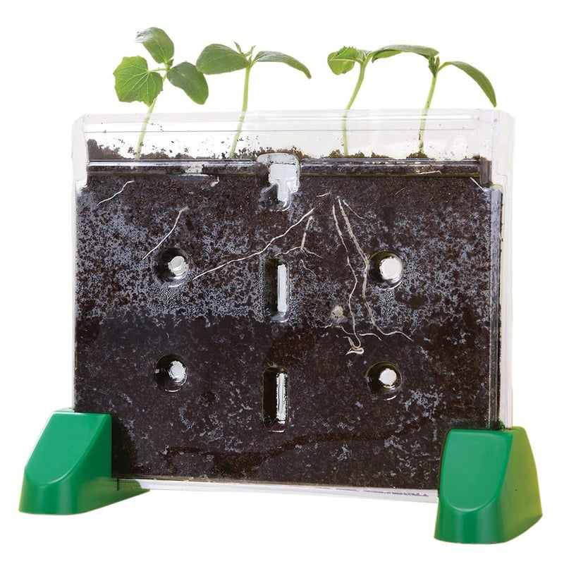 Educational Insights Sprout & Grow Window - See-Through Sprouts Growing Kit, Kids Gardening Set, Starter Science Kits for Kids, Root Viewer, Interactive Homeschool or Classroom Planter, Ages 5+ - Image 1