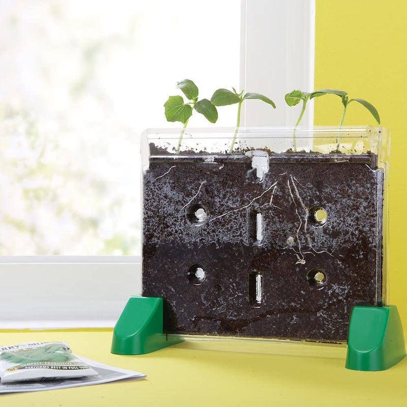 Educational Insights Sprout & Grow Window - See-Through Sprouts Growing Kit, Kids Gardening Set, Starter Science Kits for Kids, Root Viewer, Interactive Homeschool or Classroom Planter, Ages 5+ - Image 4