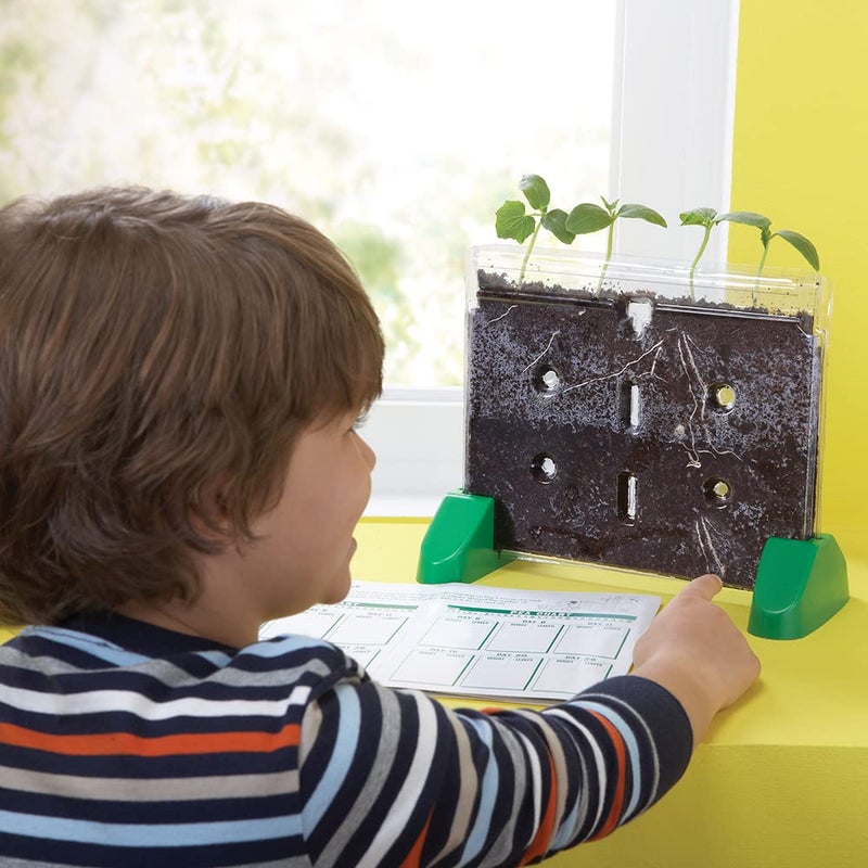 Educational Insights Sprout & Grow Window - See-Through Sprouts Growing Kit, Kids Gardening Set, Starter Science Kits for Kids, Root Viewer, Interactive Homeschool or Classroom Planter, Ages 5+ - Image 2