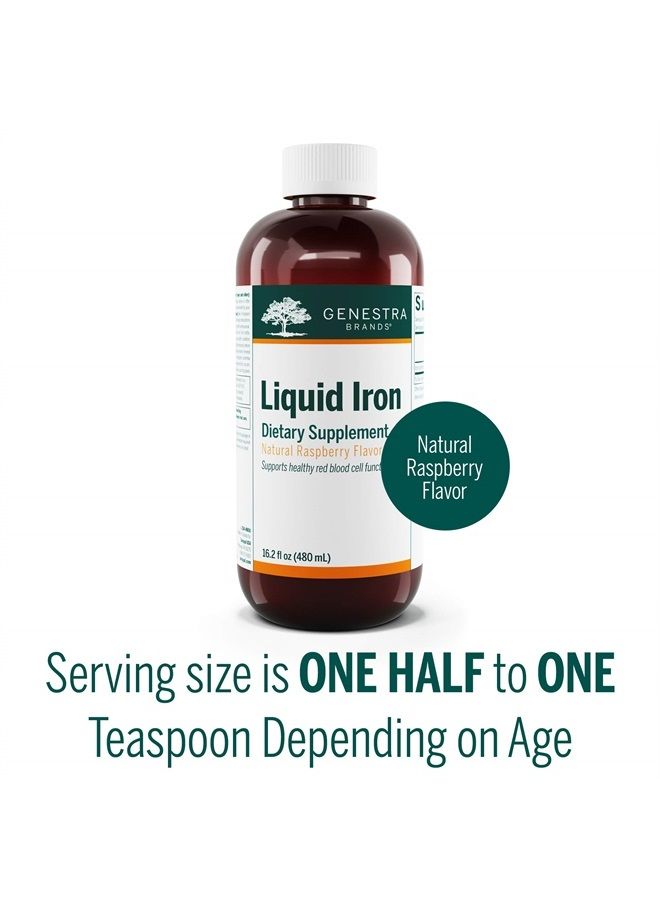 Genestra Brands حديد سائل | مكمل معدني كولويدي | نكهة توت العليق الطبيعية | 16.2 أونصة سائلة - Image 4