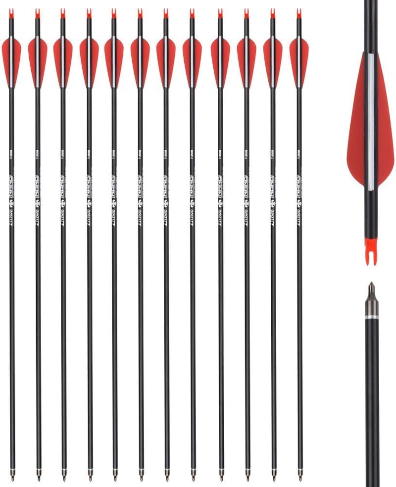 TY Archery Carbon Arrow Hunting Arrows with 100 Grain Removable Tips for Archery Compound & Recurve & Traditional Bow Practice Shooting (Pack of 12) - Image 1