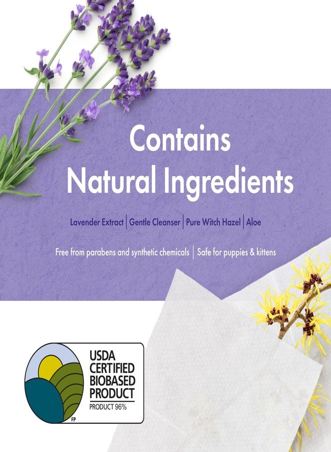 بيتكين مناديل بيتكين النباتية لتنظيف الأذن، 80 منديلًا - مناديل أذن عضوية ومستدامة للكلاب والقطط - تنظف منطقة الأذن من الأوساخ والروائح والشمع - تنظف وترطب بلطف - سهلة الاستخدام - برائحة اللافندر - Image 5