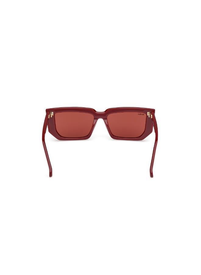MaxMara Wayfarers Sunglasses - Image 2