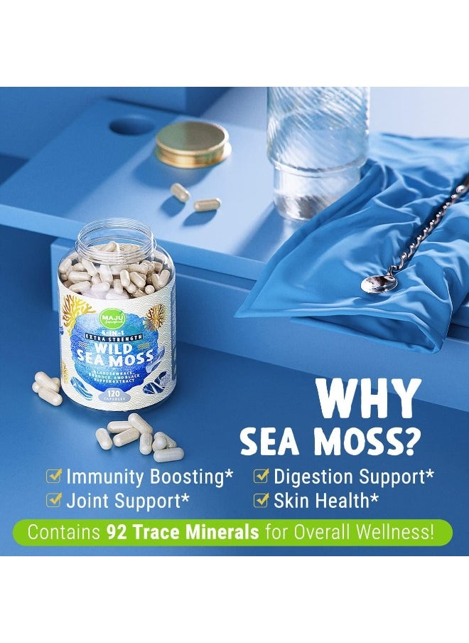Maju Superfoods Maju Superfoods Wild Irish Sea Moss Capsules (120ct), Stronger Than Gel, 4-in-1 w/Bladderwrack + Burdock Root, Organic, Sebi Inspired, Raw, Seamoss Pills Powder, Wild, 1 Bottle  - Image 3