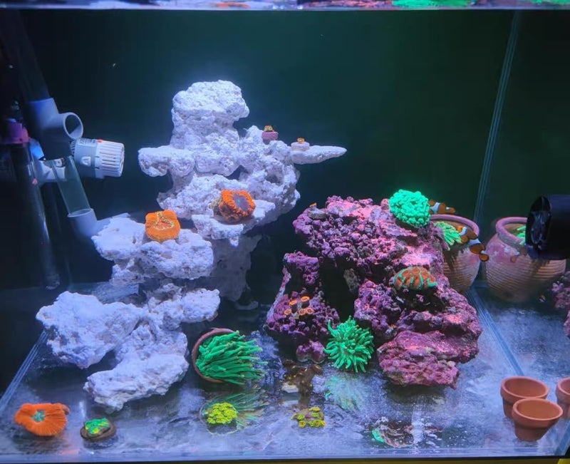 YZHZOM Dry Base Rock for Aquarium White Coral Ornament Sea Base Rocks for Aquarium Aquascaping (7lb,Mix Size & Shape) - Image 2