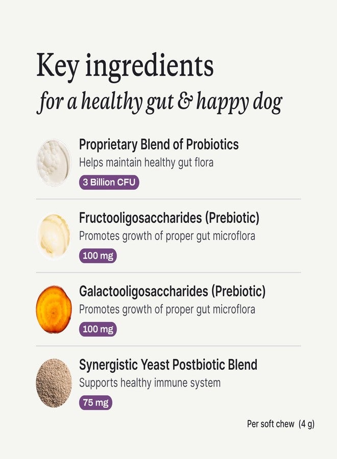 PetLab Co. Probiotics for Dogs, Support Gut Health, Occasional Diarrhea, Digestive Health & Seasonal Allergies - Salmon Flavor - 30 Soft Chews - Pack of 3 - Image 4