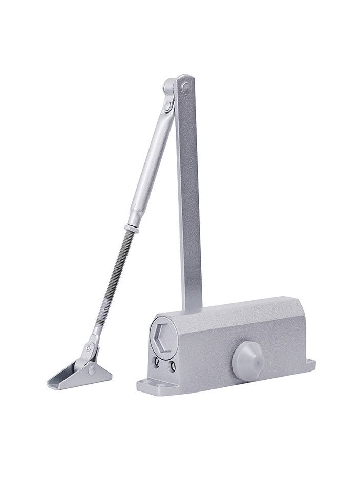 Generic DOOR CLOSER WHITE PC0770 PATTA  - Image 1
