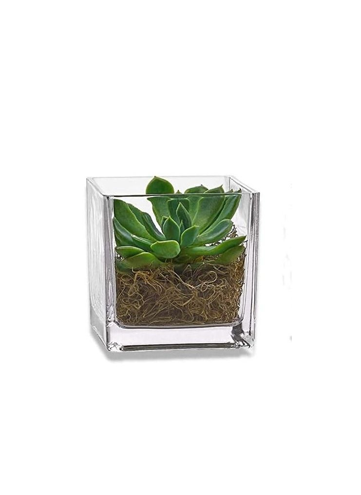 Generic - Square Glass Vase Used For Floral Arrangements For Wedding Centerpieces and Stylish Home Decor H 10cm x D 10cm - Image 1