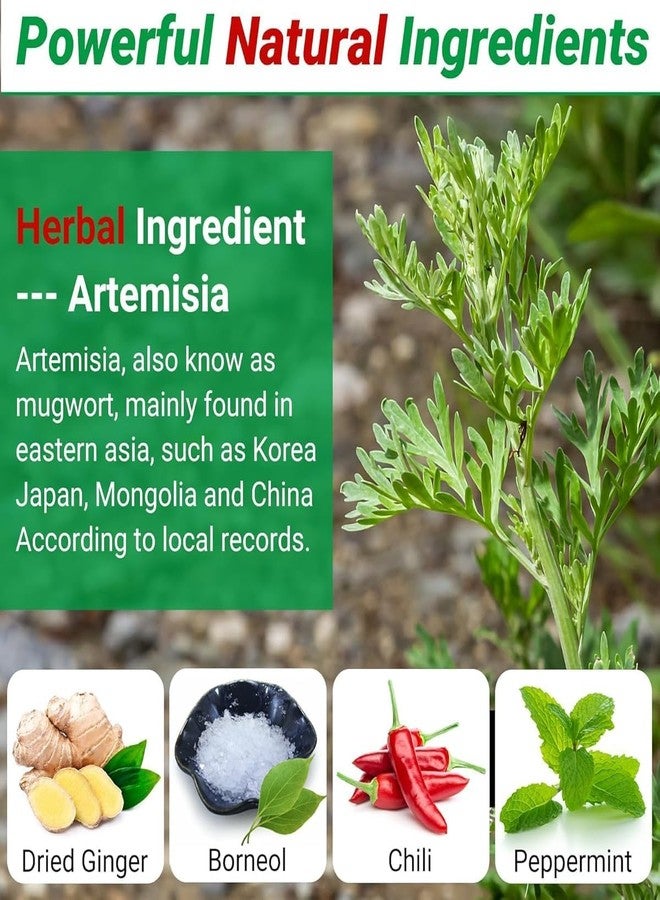 PAXCOO Herbal shoulder Pain Relief Patches Arthritis Inflammation Patch Sticker Instant Relief from shoulder Joints shoulder Pain Relief Products Natural Wormwood Extract Patch for shoulder - Image 4