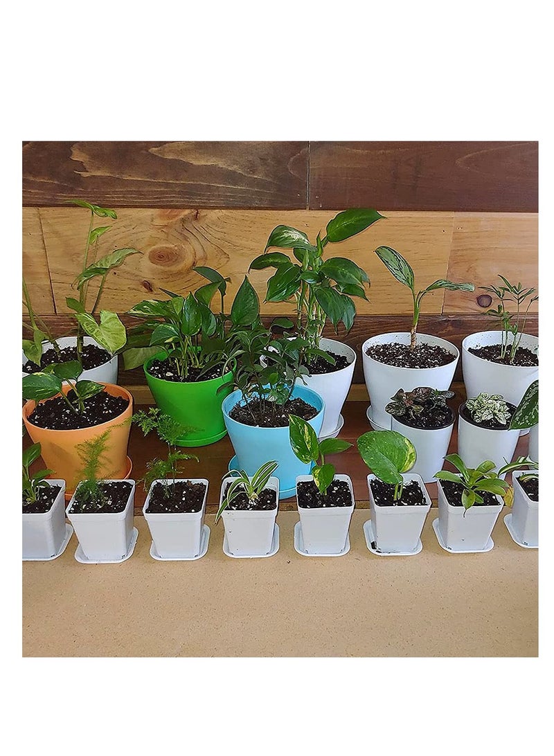 SYOSI Plastic Nursery Seedling Pots, 48 Pack Square Plants Nursery Pot, Square Plastic Plant Pots with Drainage Holes and Saucers, for Balcony, Pot Transplant, Garden, Home Decor, Outdoor(White) - Image 5