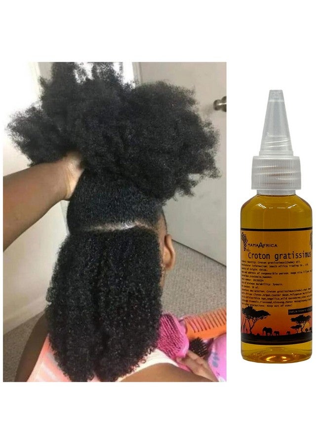 Africa Croton Tree seeds Extract Known Locally as Chebe Hot Oil Scientific Name Croton gratissimus Scalp & Hair Roots Strengthening Hot Oil - Image 1