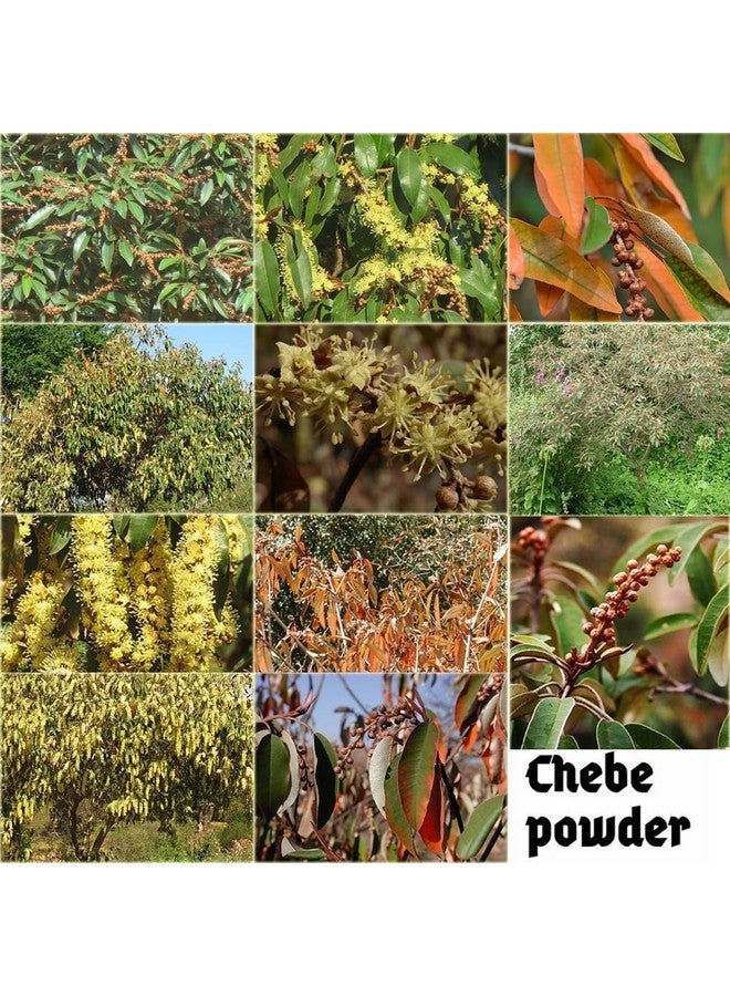 Africa Croton Tree seeds Extract Known Locally as Chebe Hot Oil Scientific Name Croton gratissimus Scalp & Hair Roots Strengthening Hot Oil - Image 3