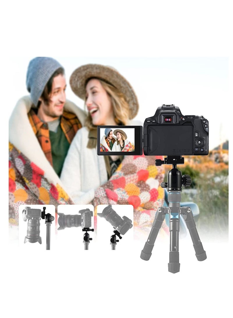 Captaintech Mini Tripod Ball Head 360° Panoramic Camera with 1/4" Screw 3/8" Thread Mount and Arca Swiss QR Plate Metal Ball Joint for Monopod, DSLR, Phone, GP,Telescope, Max Load 22lbs/10kg - Image 2