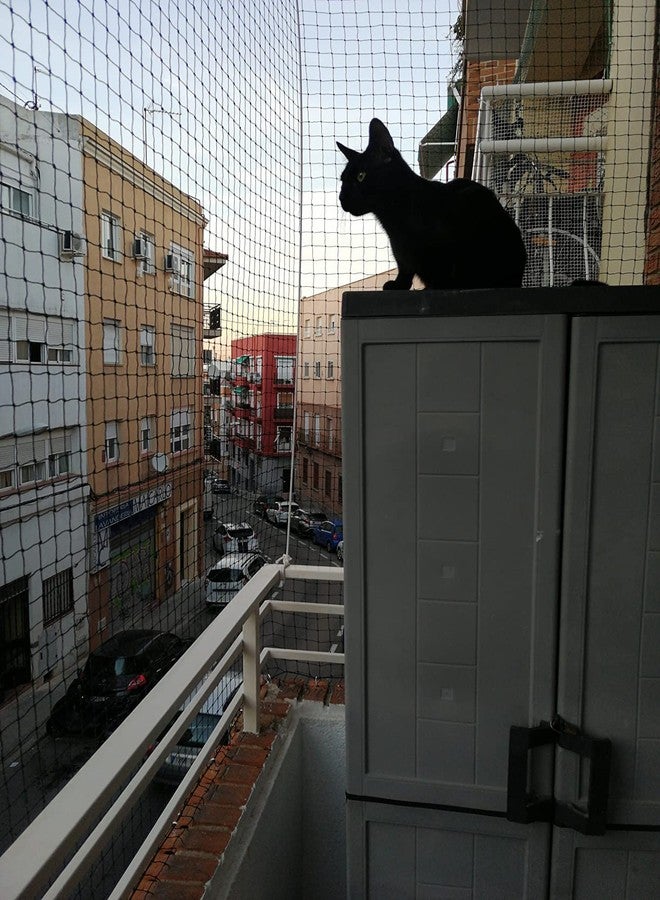Piowet Cat Balcony Rail Net Cat Anti-Fall Netting Pet Balcony Mesh Fence Net Dog Fence Nets Black Nylon Pets Anti-Fall Mesh Fence, 10 x 20ft - Image 2