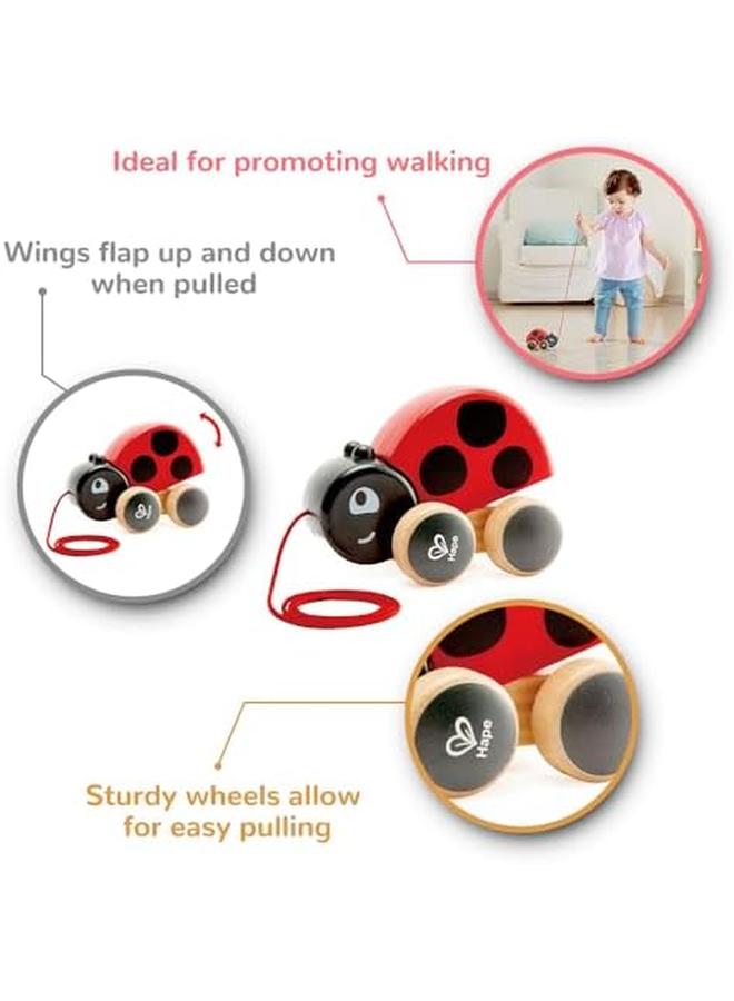 Hape Ladybug Pull Along Toy For 12 Plus Months Babies Multicolour - Image 3