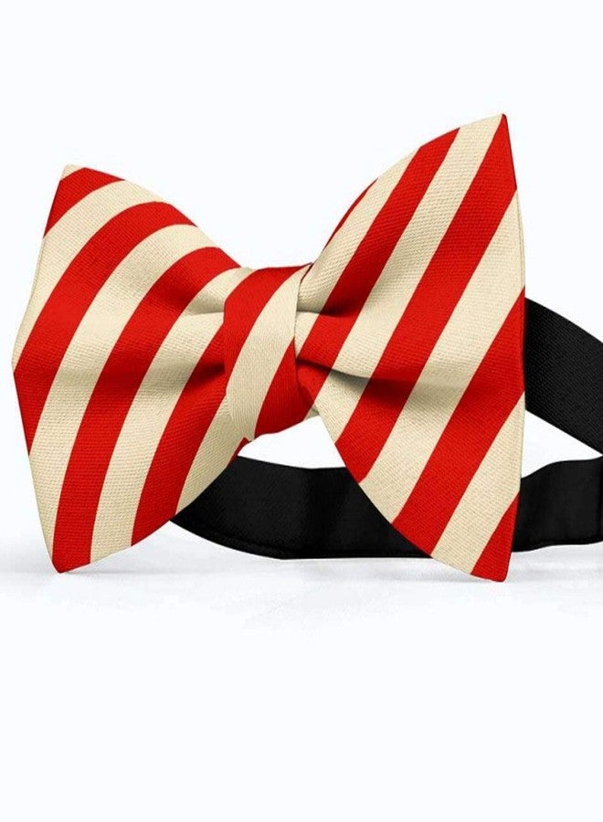 RR Design Cute Soft Dog with Bowtie, Detachable Adjustable Bow Tie Collar Pet Gift - Red Stripes (M) - Image 2