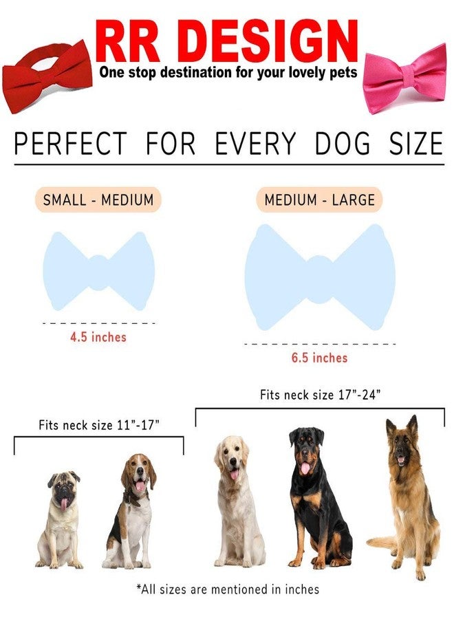RR Design Cute Soft Dog with Bowtie, Detachable Adjustable Bow Tie Collar Pet Gift - Red Stripes (M) - Image 5