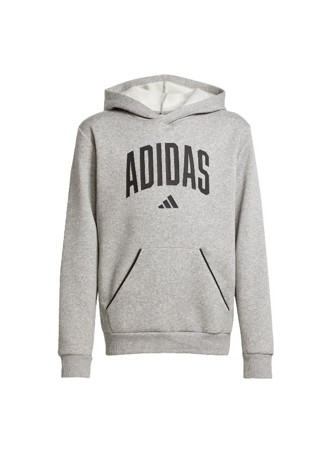 Adidas J Clgt Oh Fl Hd Grey Training Sweatshirts For Junior 7-8Y - Image 1