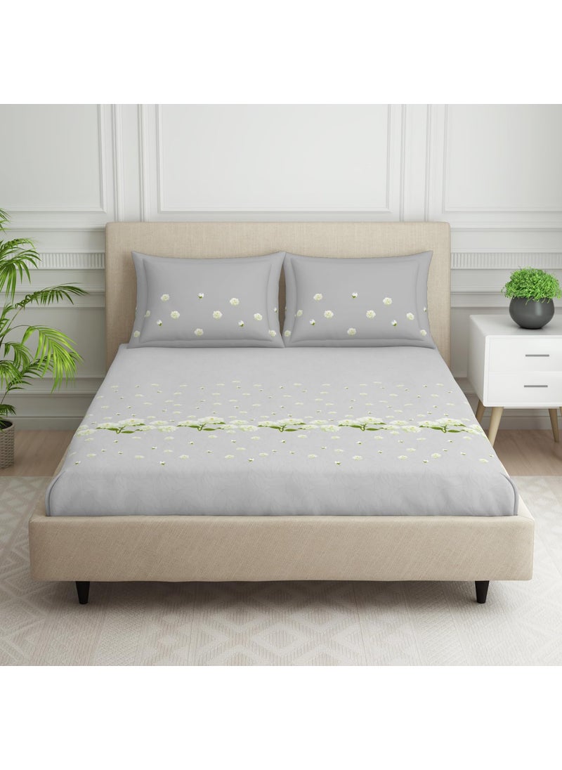 SPACES SPACES 100 Cotton Double Bedsheet with 2 Pillow Covers Size 88 x 100 inch 144 TC Bed Sheet for Double Bed Breathable Pure Cotton Queen Size Bedsheet PHULERI Floral Light Grey  - Image 1
