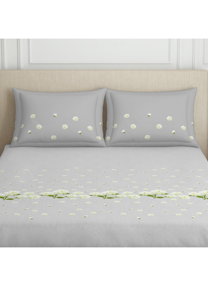 SPACES SPACES 100 Cotton Double Bedsheet with 2 Pillow Covers Size 88 x 100 inch 144 TC Bed Sheet for Double Bed Breathable Pure Cotton Queen Size Bedsheet PHULERI Floral Light Grey  - Image 4