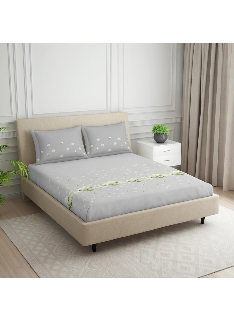 SPACES SPACES 100 Cotton Double Bedsheet with 2 Pillow Covers Size 88 x 100 inch 144 TC Bed Sheet for Double Bed Breathable Pure Cotton Queen Size Bedsheet PHULERI Floral Light Grey  - Image 2