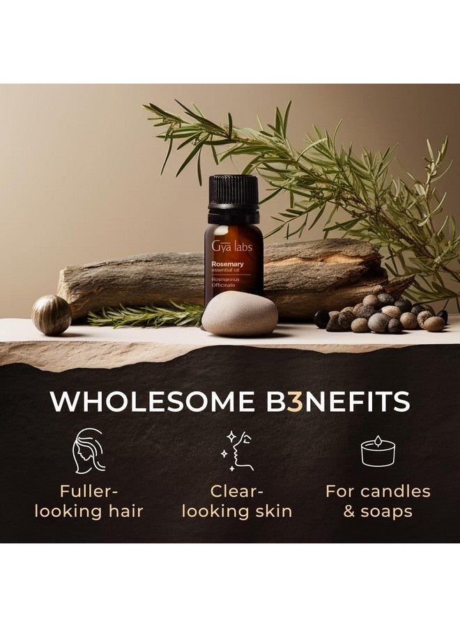 جيا لابس زيت إكليل الجبل العطري من جيا لابس للشعر - 0.34 أونصة سائلة - زيت إكليل الجبل الطبيعي النقي 100% للاستخدام مع موزع الروائح والبشرة وفروة الرأس والعلاج بالروائح وصناعة الشموع - Image 4