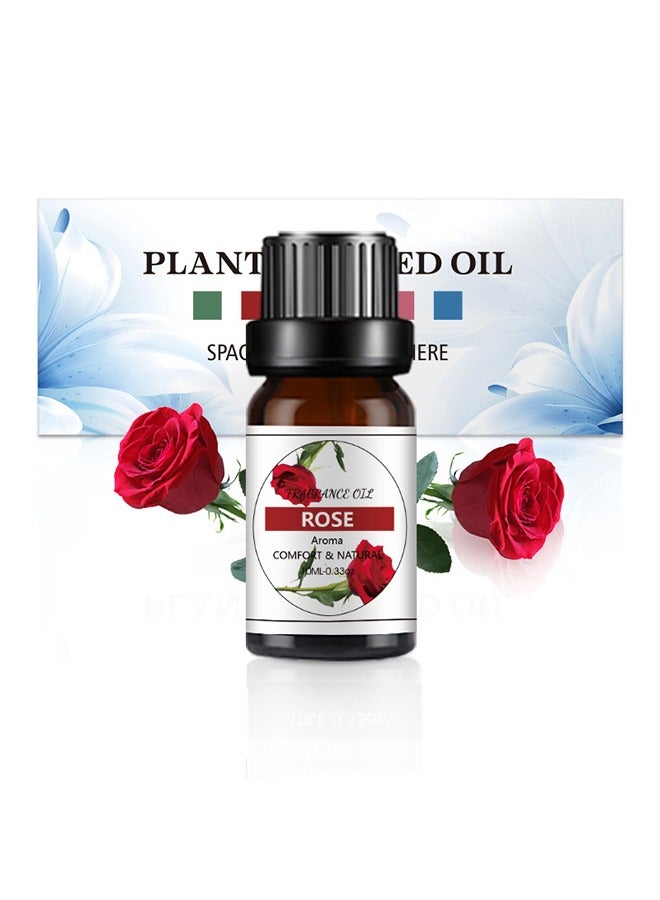 100 ٪ نقية 6 مجموعات من الزيوت العطرية والزيوت الأساسية العلاجية الصف هدية مجموعة - Image 3