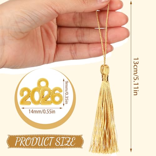 Cindeer 100 Pcs Mini Graduation Tassels with 100 Pcs 2026 Tassel Charms for Crafts Mini Silky Bookmark for Graduation Cap Keychain Ornaments DIY Craft Jewelry Making Project(Gold) - Image 2