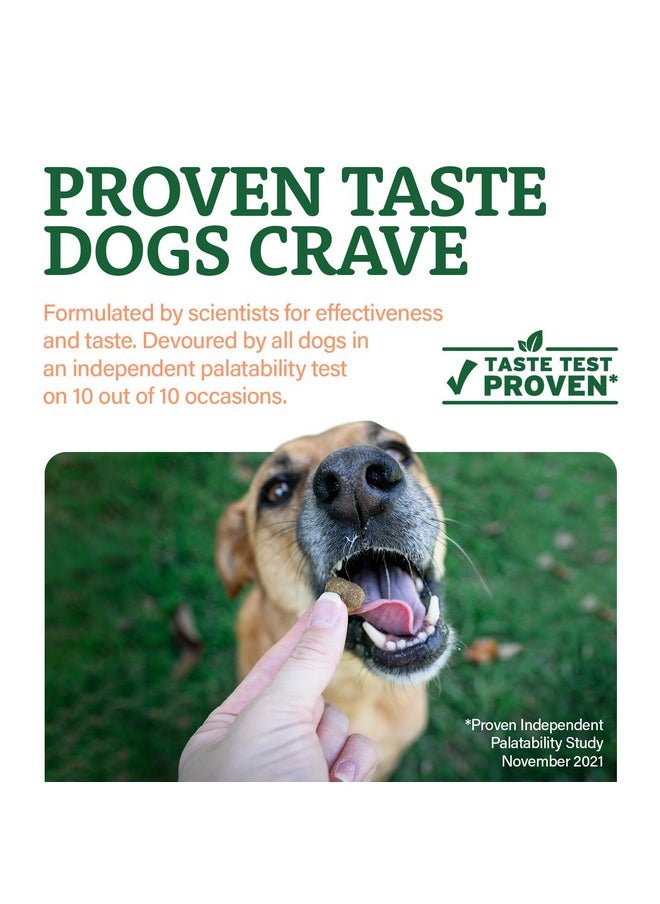 Doggie Dailies Doggie Dailies Senior Essentials Multivitamin for Dogs Soft Chews | Advanced Dog Multivitamin | Nutritional Support for Joints, Skin & Coat, Digestion, and the Immune System | Bacon Flavor | 120 Count  - Image 2