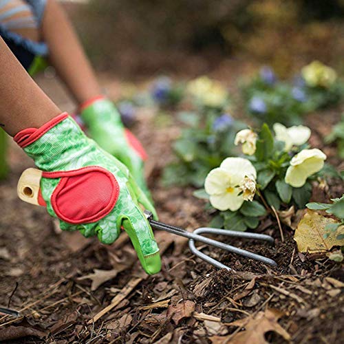 FEELING MALL Gardening Tools Set Kit (Prong) - Image 4