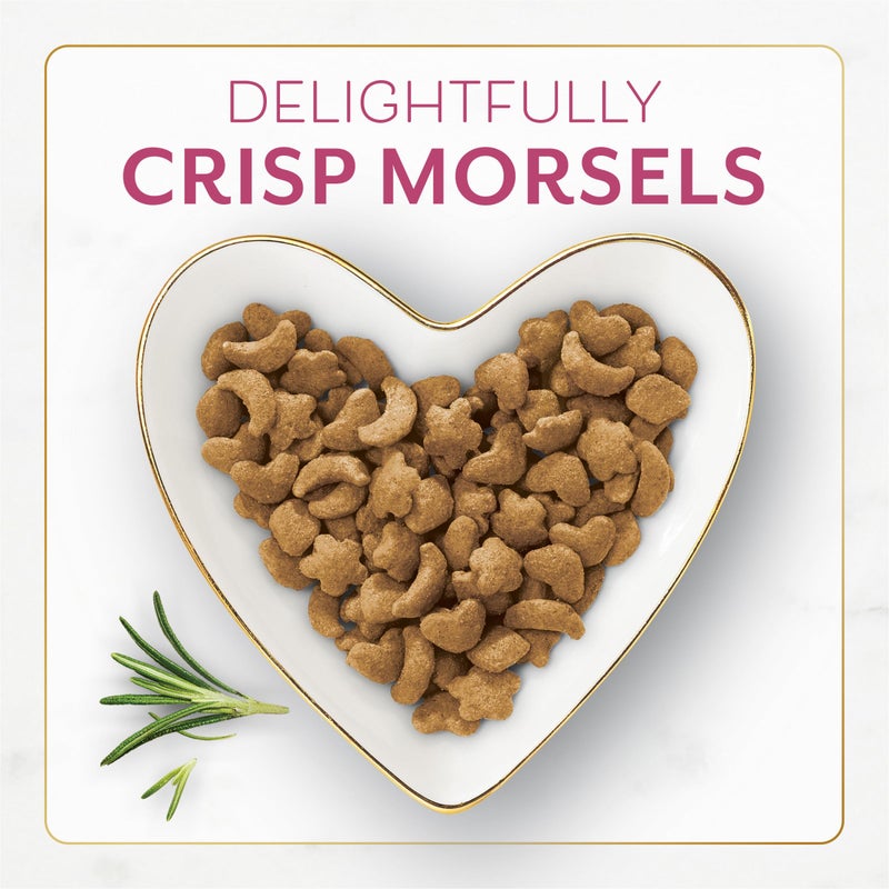 Fancy Feast Purina Filet Mignon Flavor with Real Seafood & Shrimp Dry Cat Food (7 Ounce (Pack of 1)) - Image 2