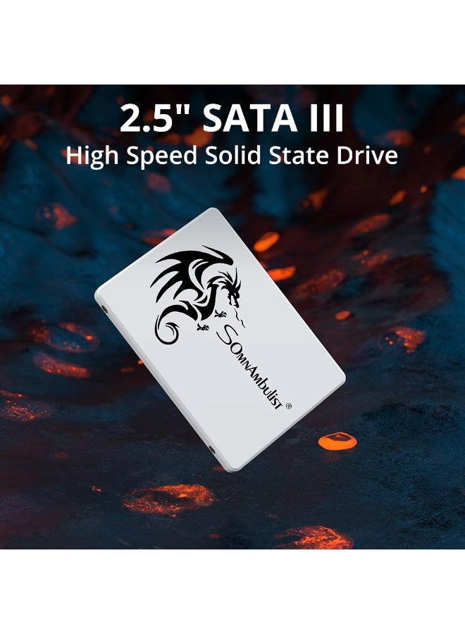 Somnambulist SSD 2.5 256GB Internal Solid State Drive  for laptops and desktops SSD Sata3 interface - Image 2