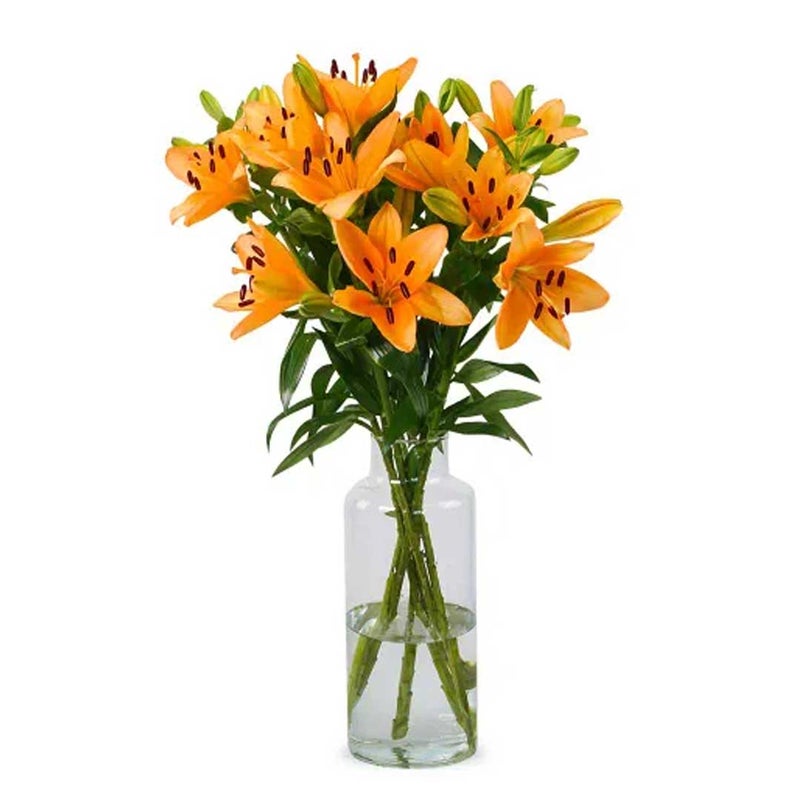 Kibsons Asiatic Lilies, Orange - 5 Stems , Netherlands - Image 2