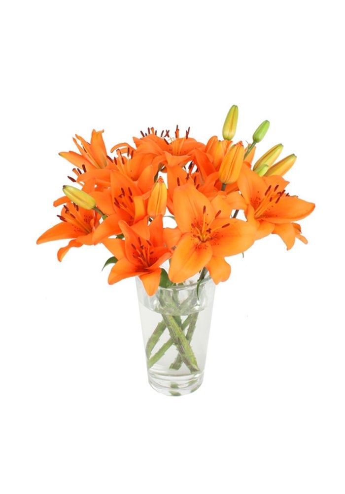 Kibsons Asiatic Lilies, Orange - 5 Stems , Netherlands - Image 3