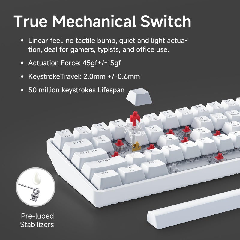 TMKB Technology Mechanical KeyBoard لوحة مفاتيح ألعاب ميكانيكية TMKB 60%، مفتاح خطي أحمر، إضاءة خلفية LED، مضادة للتداخل، USB-C قابلة للفصل، مفاتيح مزدوجة الطباعة، 61 مفتاح، سلكية، بيضاء - Image 3
