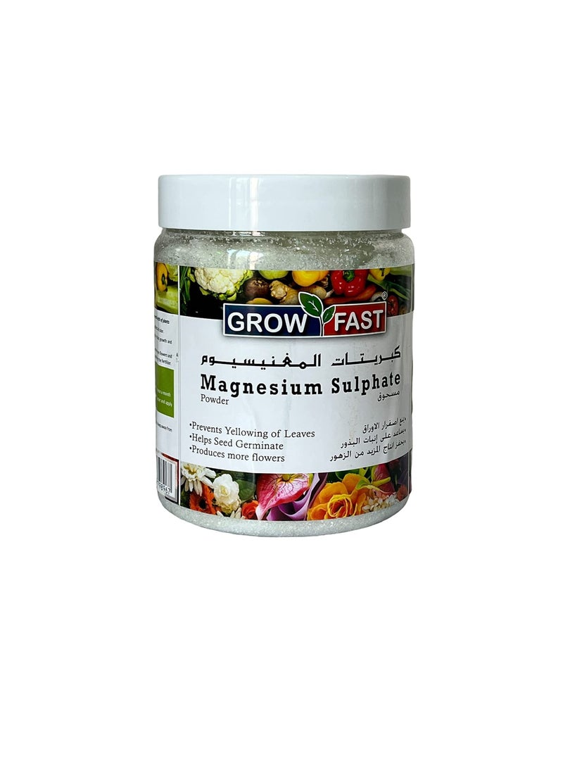 GROW FAST Agriculture Epsom Salt for Vigorous Growthof Flowering Plants, Fruits & Vegetables - 1KG - Image 1