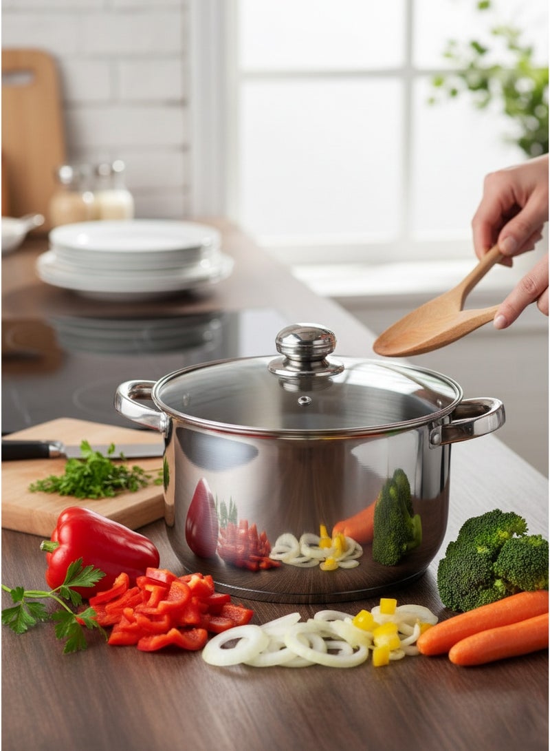 Wilson Amara Stainless Steel Casserole Pot with Twin Handles 24x12.5cm, Vented Glass Lid, Induction Ready, Oven Safe - 5-layer base - Image 1