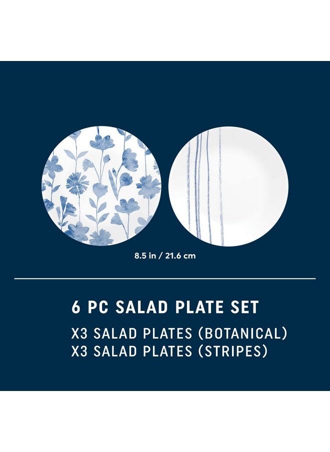 Corelle Corelle 6-Piece 8.5" Vitrelle Glass Lunch Plates, Lightweight, Scratch Resistant - Botanical Stripes  - Image 4