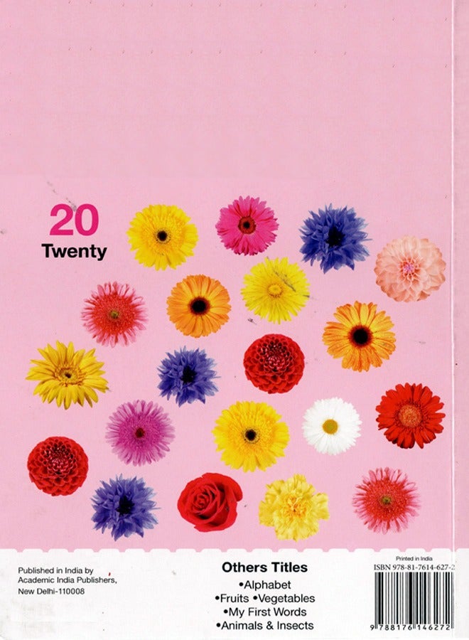 BOARD BOOK OF NUMBERS - Image 2