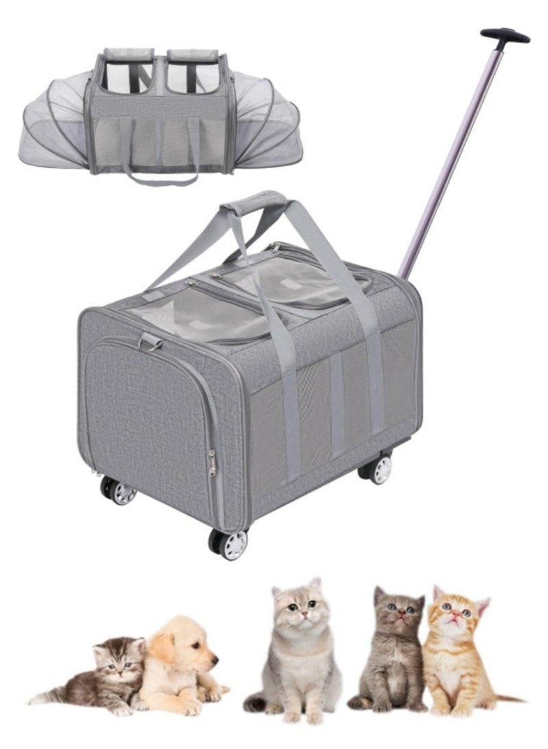 XICEN Double Pet Carrier, Cat Wheeled Bag,Expandable Pet Carrier with Detachable Wheels Plenty of Room Large Space Trolley Collapsible and Breathable,Rolling Pet Carrier Extra Large Pet Travel Carrier - Image 2