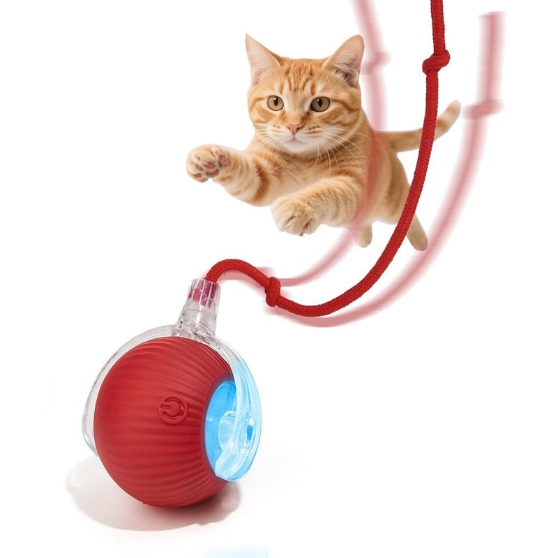 molxiobul Interactive Dog Cat Toy Ball, Upgraded Rechargable Smart Automatic Rolling Pet Ball with Tail, Fast Moving Toy for Bored Indoor Kitty Puppy - Image 1