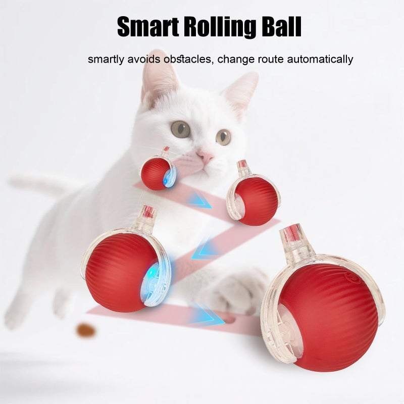molxiobul Interactive Dog Cat Toy Ball, Upgraded Rechargable Smart Automatic Rolling Pet Ball with Tail, Fast Moving Toy for Bored Indoor Kitty Puppy - Image 4
