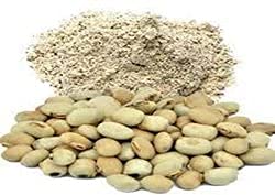 VS Products Poonaikali Seed White Powder 150g Mucuna Puriens White Velvet Bean Powder White Kaunch Kapikachhu White Dulagondi Naikkuram Powder Pack of 1 X 100g Pack of 1 X 50g - Image 3