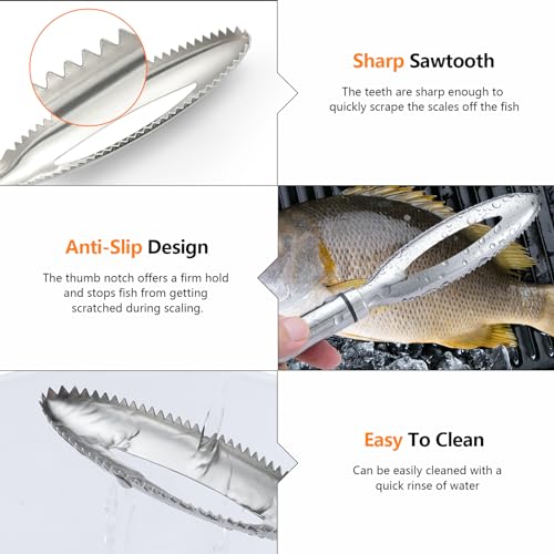 iziusy 2 Pcs Fish Tweezer 2 Pcs Fish Scale Remover, Fishbone Tweezers Descaler Cleaner Scraper Tool Stainless Stee Pliers - Image 5