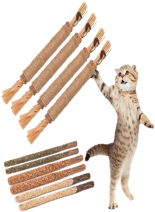FOIMAS Silvervine Sticks Cat Toys,10pcs Cat Chew Stick Catnip Chew Toy Interactive Cat Toy for Cat Kitten Teeth Cleaning Treat Toys Indoor Outdoor - Image 1
