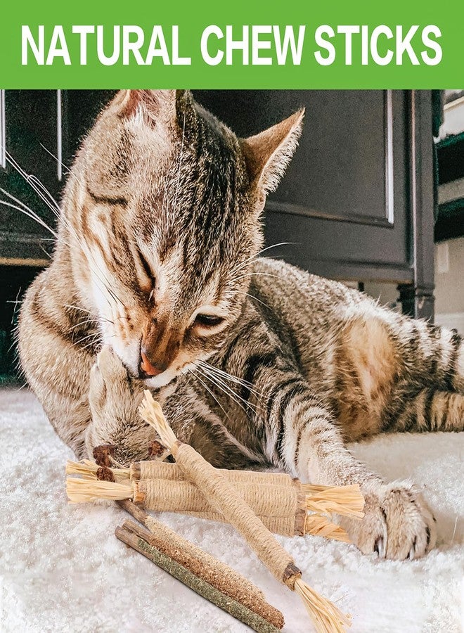 FOIMAS Silvervine Sticks Cat Toys,10pcs Cat Chew Stick Catnip Chew Toy Interactive Cat Toy for Cat Kitten Teeth Cleaning Treat Toys Indoor Outdoor - Image 2