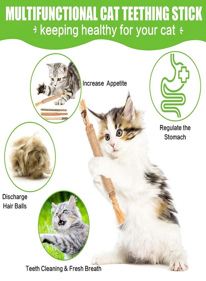 FOIMAS Silvervine Sticks Cat Toys,10pcs Cat Chew Stick Catnip Chew Toy Interactive Cat Toy for Cat Kitten Teeth Cleaning Treat Toys Indoor Outdoor - Image 3