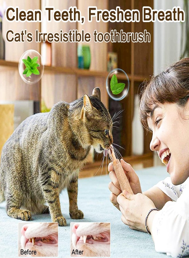 FOIMAS Silvervine Sticks Cat Toys,10pcs Cat Chew Stick Catnip Chew Toy Interactive Cat Toy for Cat Kitten Teeth Cleaning Treat Toys Indoor Outdoor - Image 4