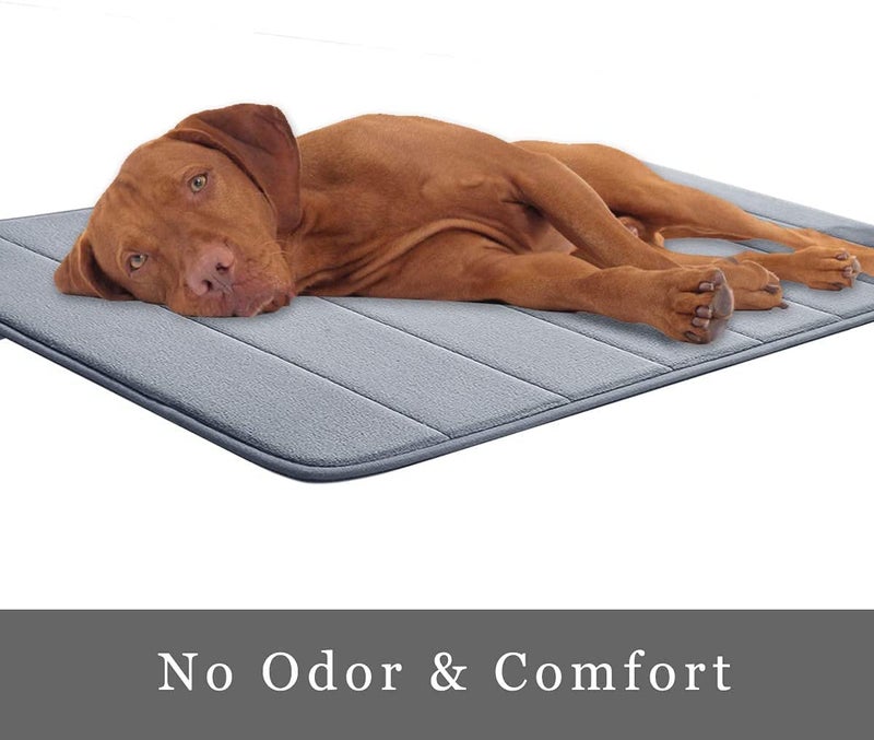 MATSON Memory Foam Bathroom Door Mat 50 cm X 80 cm Coral Velvet Super NonSlip Rapid Water Absorption Soft and Comfortable Easier to Dry Machine Wash Bathroom Mat Gray - Image 5